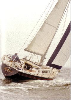 Picture1